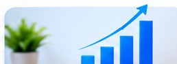 Financial Reports